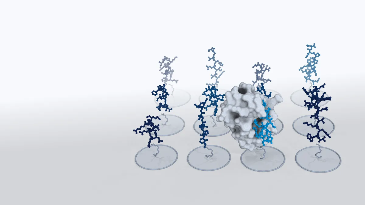 Render of a peptide array: peptides on their spots, one bound by a protein
