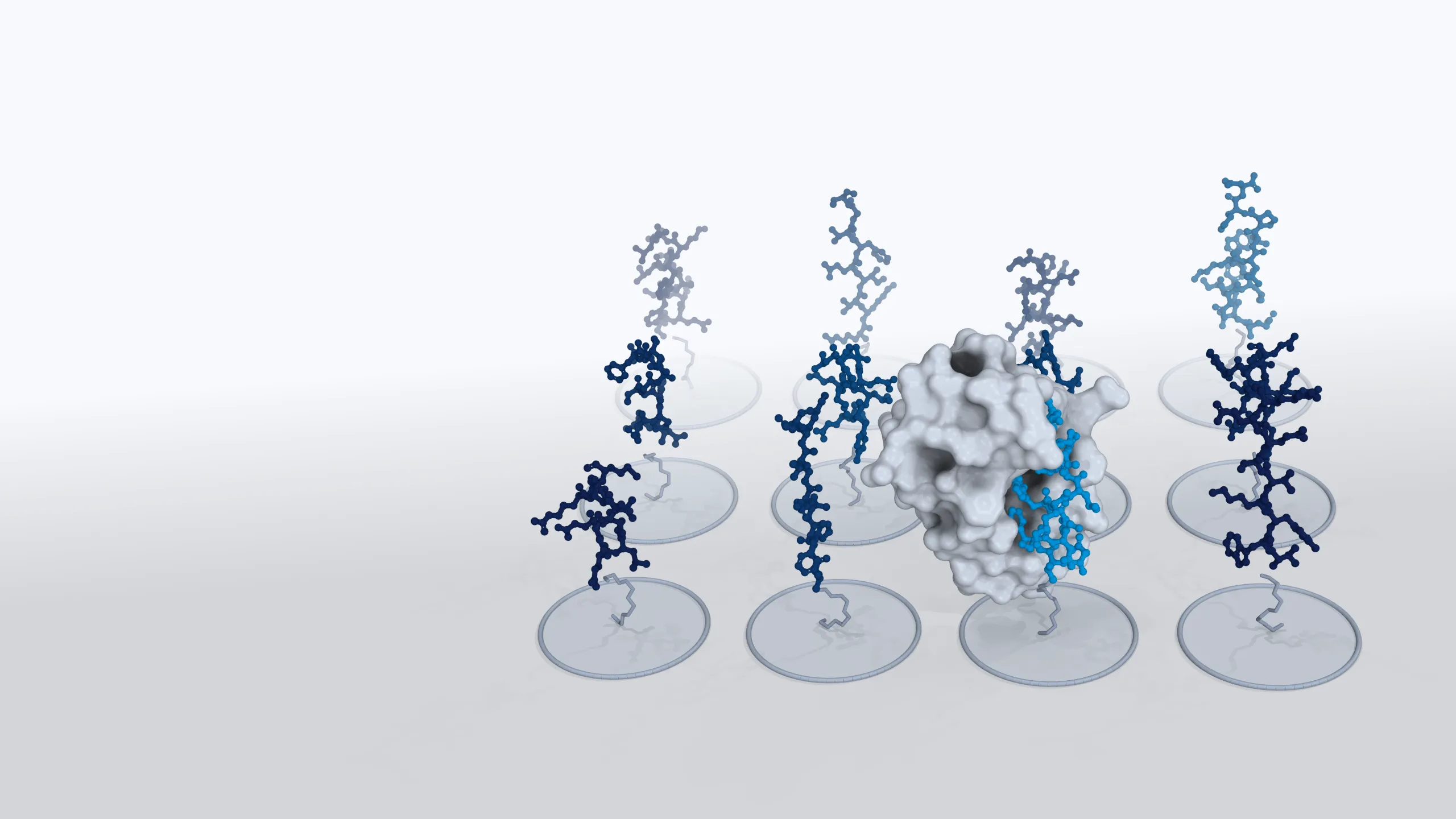 Peptide array with twelve spots; a protein is bound to one peptide and hovers over another
