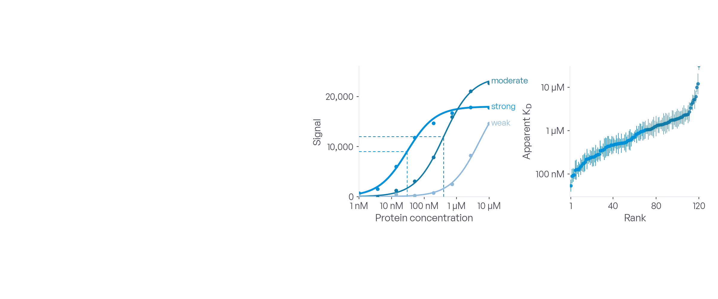 Illustrative data: titration curves of signal against protein concentration, and the peptides ranked by apparent KD with confidence intervals.