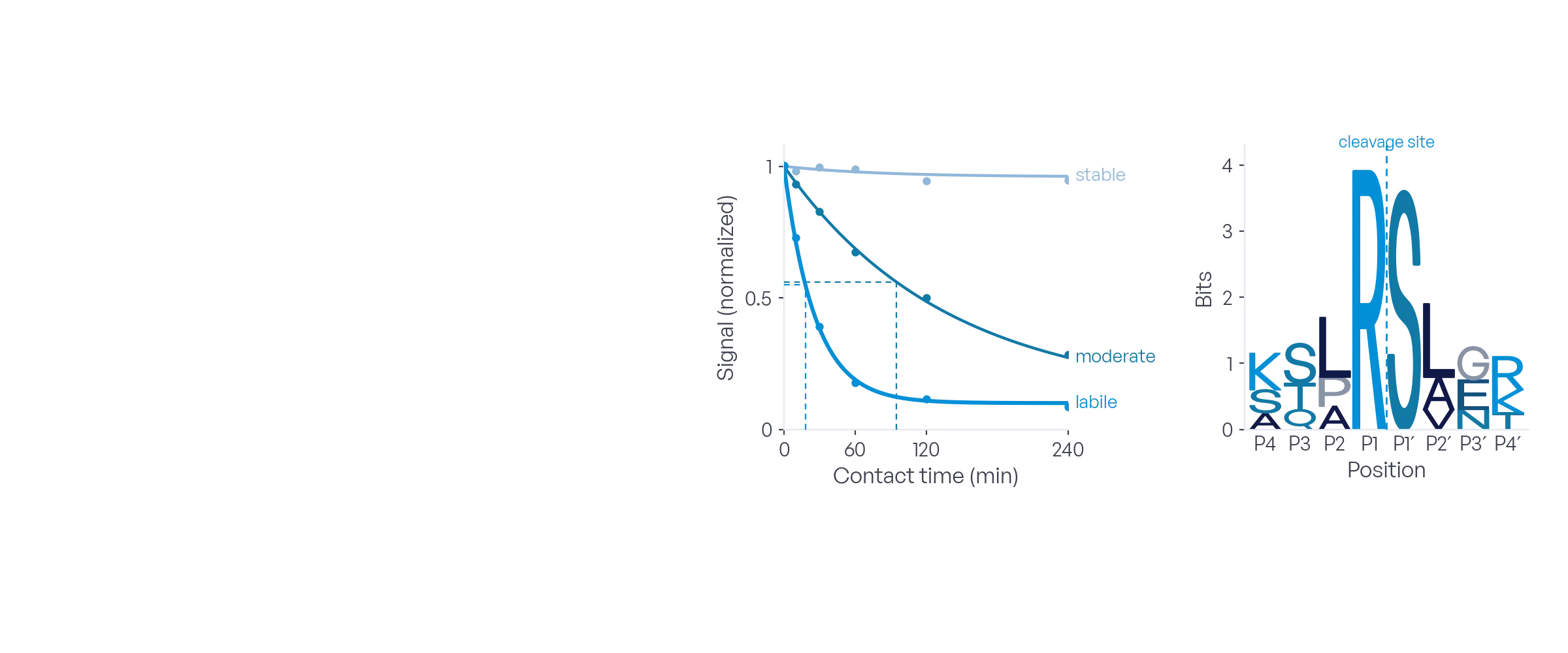 Illustrative data: the signal of three substrates over contact time with their half-lives, and the cleavage motif across the cut site.
