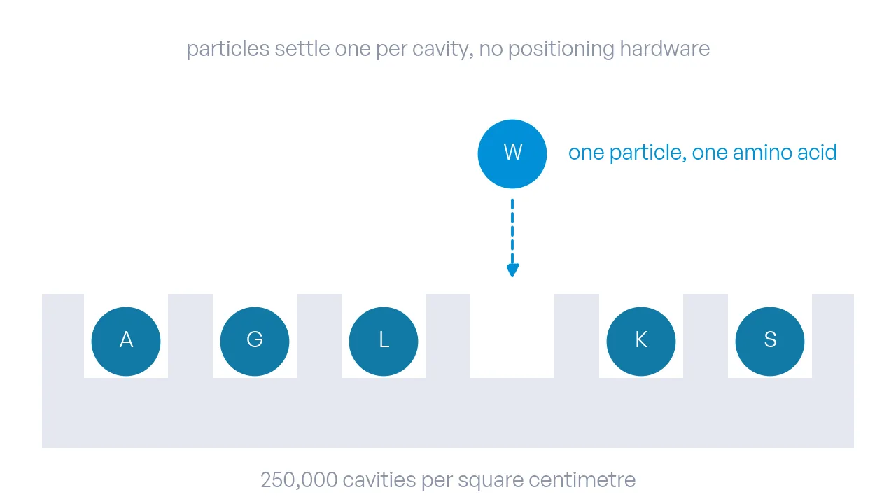 A row of microcavities in a surface; lettered amino-acid particles have settled one per cavity, one is still falling, and an arrow marks the coupling below.