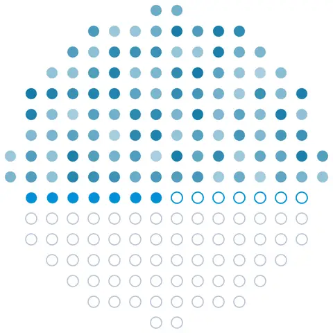 Synthesize: the microarray grid filling with peptide spots